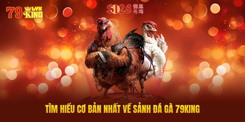 Đá Gà 79King Là Gì? Tổng Quan Về Nền Tảng Cá Cược Đá Gà Trực Tuyến